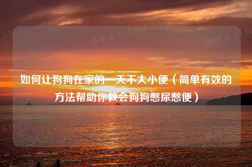 如何让狗狗在家的一天不大小便（简单有效的方法帮助你教会狗狗憋尿憋便）