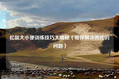 松鼠大小便训练技巧大揭秘（帮你解决困扰的问题）