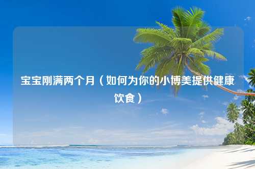 宝宝刚满两个月（如何为你的小博美提供健康饮食）