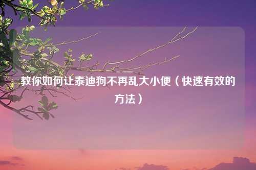 教你如何让泰迪狗不再乱大小便（快速有效的方法）