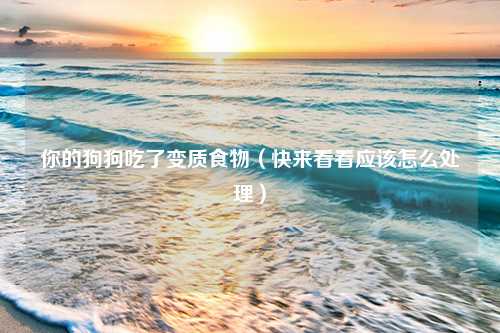 你的狗狗吃了变质食物（快来看看应该怎么处理）