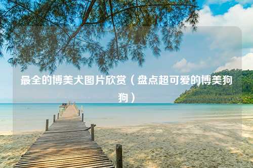 最全的博美犬图片欣赏（盘点超可爱的博美狗狗）