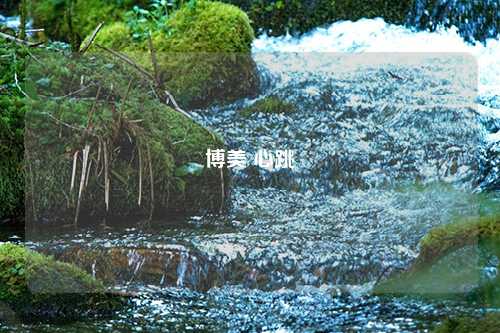 博美 心跳