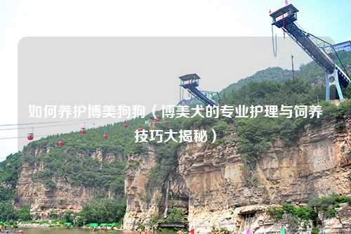 如何养护博美狗狗（博美犬的专业护理与饲养技巧大揭秘）