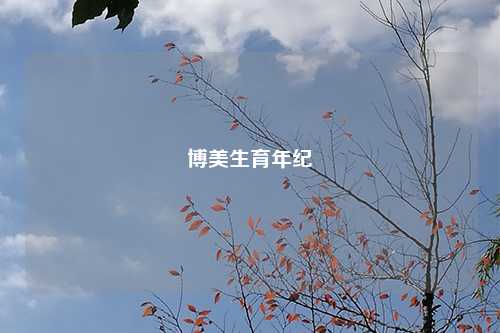 博美生育年纪
