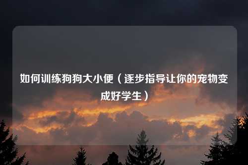 如何训练狗狗大小便（逐步指导让你的宠物变成好学生）
