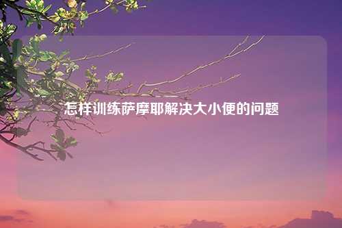 怎样训练萨摩耶解决大小便的问题