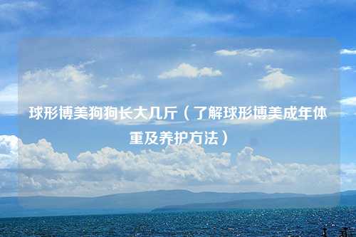 球形博美狗狗长大几斤（了解球形博美成年体重及养护方法）