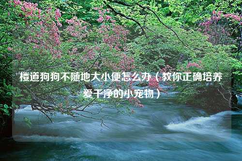 楼道狗狗不随地大小便怎么办（教你正确培养爱干净的小宠物）