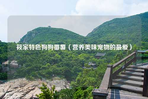 筱家特色狗狗番薯（营养美味宠物的最爱）