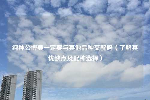 纯种公博美一定要与其他品种交配吗（了解其优缺点及配种选择）