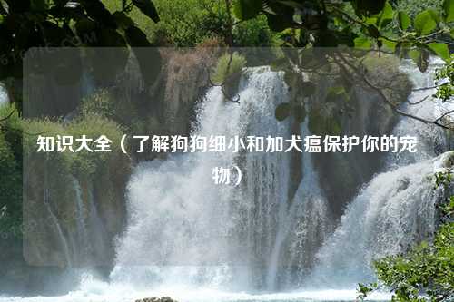 知识大全（了解狗狗细小和加犬瘟保护你的宠物）