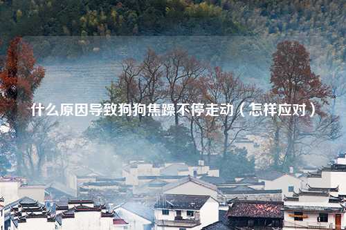 什么原因导致狗狗焦躁不停走动（怎样应对）