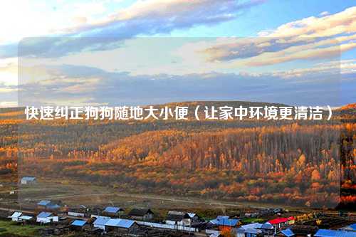 快速纠正狗狗随地大小便（让家中环境更清洁）