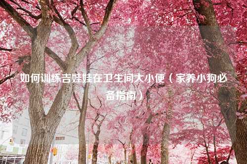 如何训练吉娃娃在卫生间大小便（家养小狗必备指南）