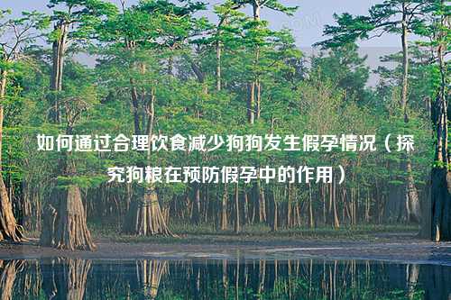 如何通过合理饮食减少狗狗发生假孕情况（探究狗粮在预防假孕中的作用）