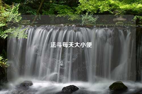 法斗每天大小便
