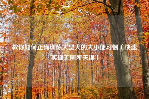 教你如何正确训练大型犬的大小便习惯（快速实现无厕所失误）