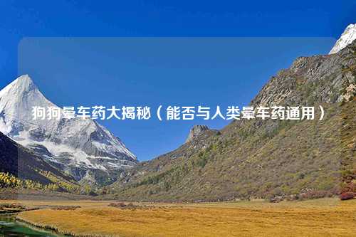 狗狗晕车药大揭秘（能否与人类晕车药通用）