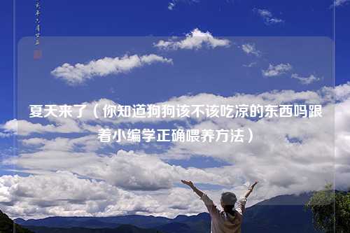夏天来了（你知道狗狗该不该吃凉的东西吗跟着小编学正确喂养方法）