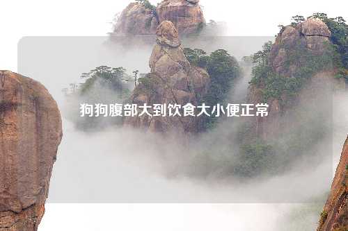 狗狗腹部大到饮食大小便正常