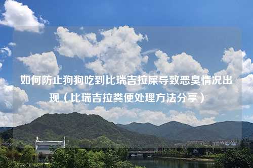 如何防止狗狗吃到比瑞吉拉屎导致恶臭情况出现（比瑞吉拉粪便处理方法分享）