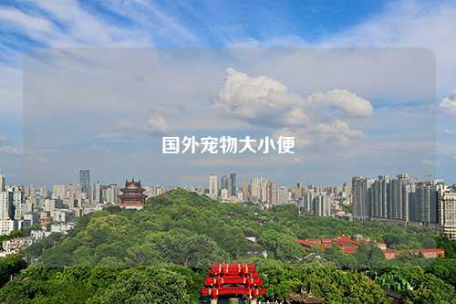 国外宠物大小便