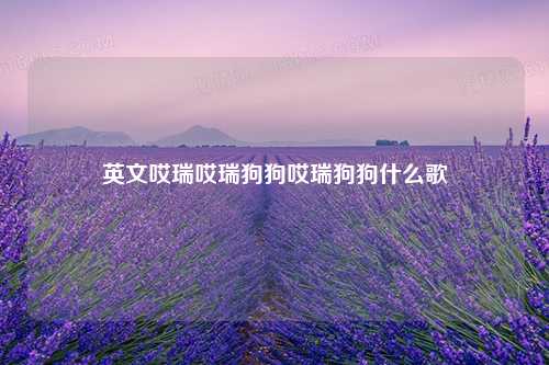 英文哎瑞哎瑞狗狗哎瑞狗狗什么歌