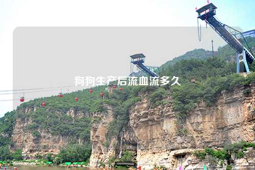 狗狗生产后流血流多久