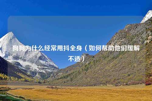 狗狗为什么经常甩抖全身（如何帮助他们缓解不适）