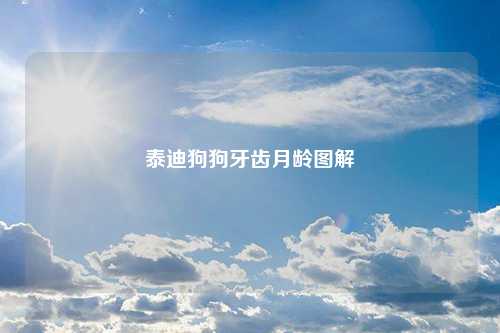 泰迪狗狗牙齿月龄图解