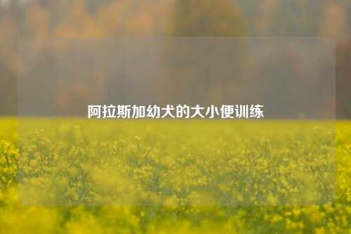 阿拉斯加幼犬的大小便训练