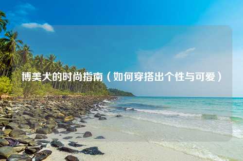 博美犬的时尚指南（如何穿搭出个性与可爱）