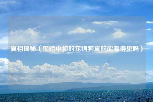 真相揭秘（黑暗中你的宠物狗真的能看得见吗）