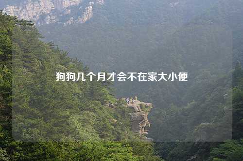 狗狗几个月才会不在家大小便