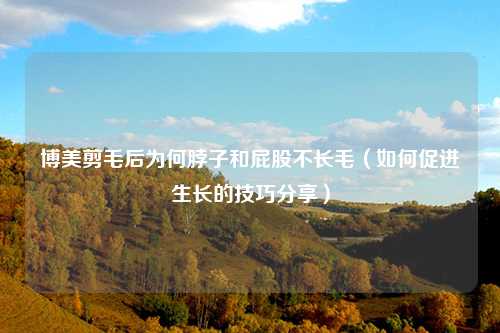 博美剪毛后为何脖子和屁股不长毛（如何促进生长的技巧分享）