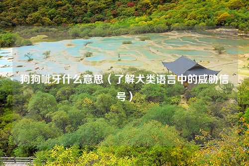 狗狗呲牙什么意思（了解犬类语言中的威胁信号）
