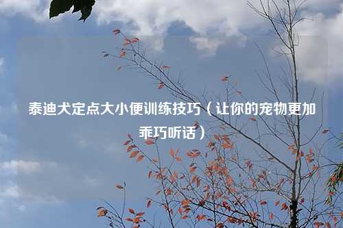 泰迪犬定点大小便训练技巧（让你的宠物更加乖巧听话）