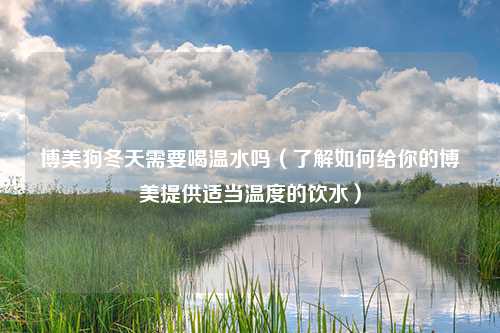 博美狗冬天需要喝温水吗（了解如何给你的博美提供适当温度的饮水）
