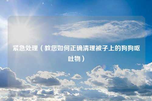 紧急处理（教您如何正确清理被子上的狗狗呕吐物）