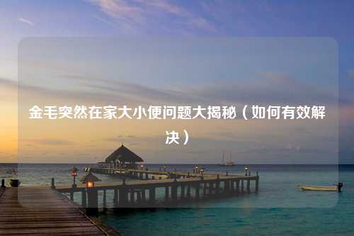 金毛突然在家大小便问题大揭秘（如何有效解决）