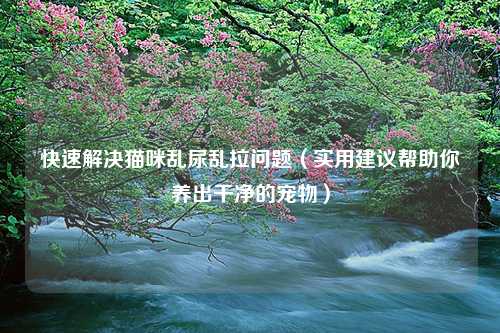 快速解决猫咪乱尿乱拉问题（实用建议帮助你养出干净的宠物）