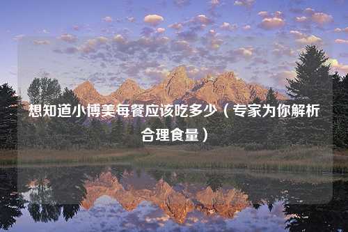 想知道小博美每餐应该吃多少（专家为你解析合理食量）