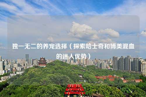 独一无二的养宠选择（探索哈士奇和博美混血的迷人优势）