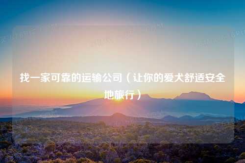 找一家可靠的运输公司（让你的爱犬舒适安全地旅行）
