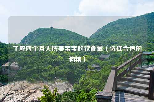 了解四个月大博美宝宝的饮食量（选择合适的狗粮）