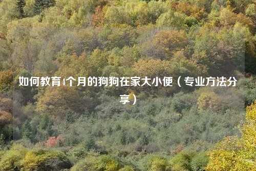 如何教育4个月的狗狗在家大小便（专业方法分享）