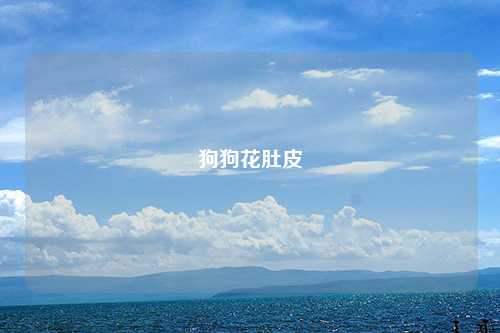 狗狗花肚皮