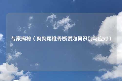 专家揭秘（狗狗尾椎骨断裂如何识别与应对）