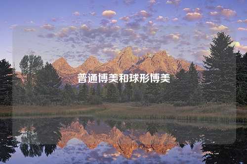 普通博美和球形博美